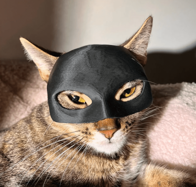 Maska dla Kota BATMAN BAT-CAT Przebranie dla kota na halloween - obrazek 3