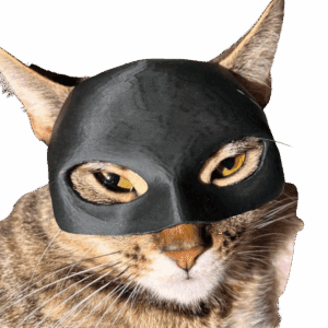 Maska dla Kota BATMAN BAT-CAT Przebranie dla kota na halloween