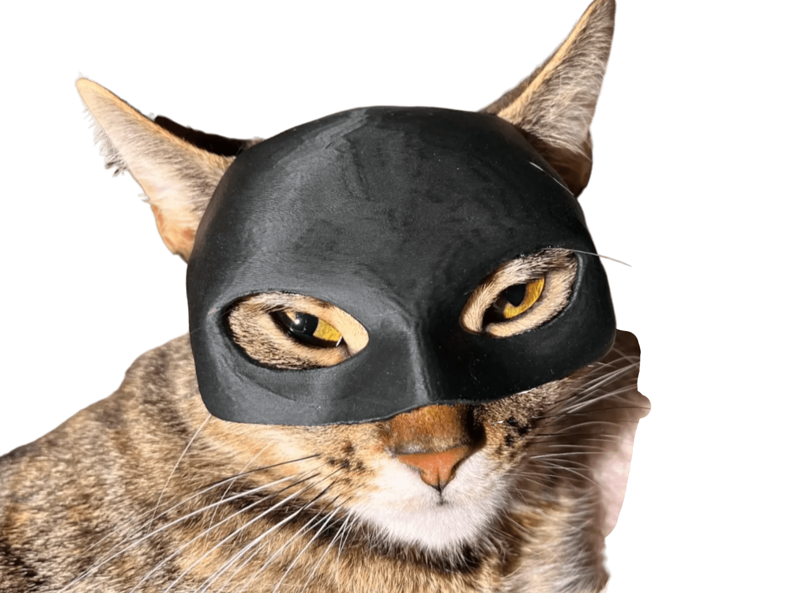Maska dla Kota BATMAN BAT-CAT Przebranie dla kota na halloween